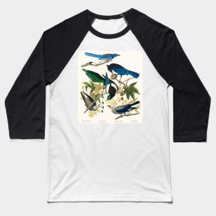 Yellow-Billed Magpie, Stellers Jay, Ultramarine Jay and Clark's Crow from Birds of America (1827) Baseball T-Shirt